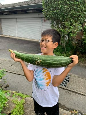 空飛ぶカボチャ